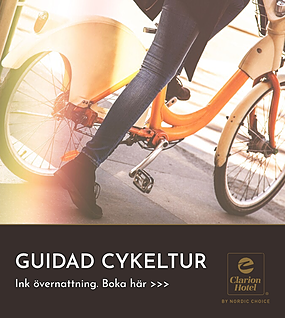 Guidad Cykeltur