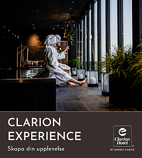 Clarion-Experience