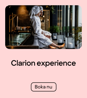 Clarion-Experience