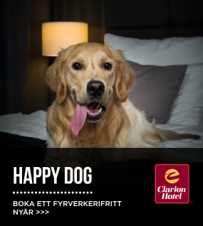 Happy Dog 2024