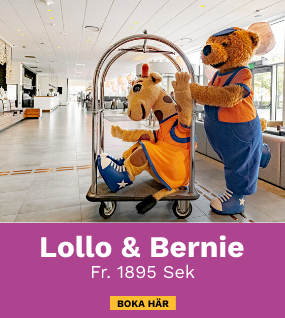 Bus med Lollo & Bernie